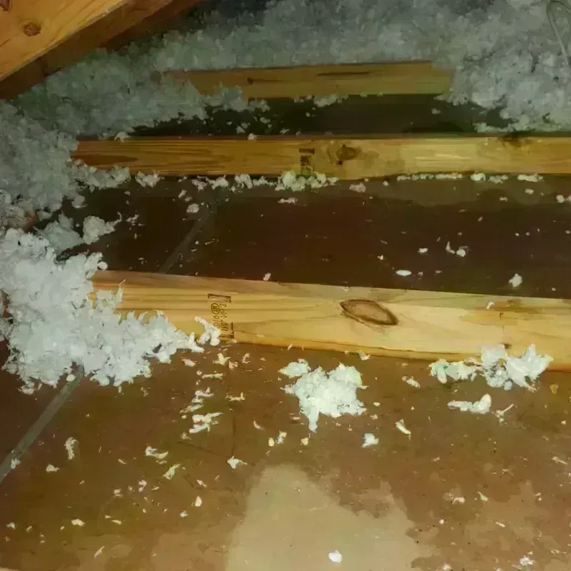 Attic Water Damage in Wautoma, WI