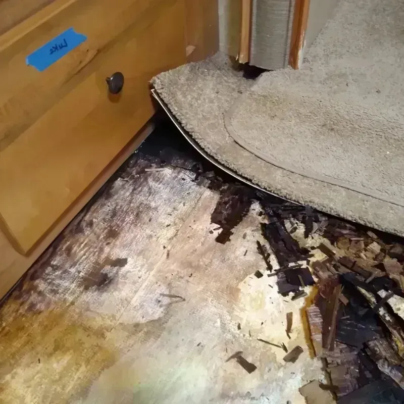 Wood Floor Water Damage in Wautoma, WI